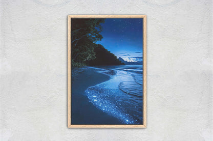 Beach Night Sky, Starry Beach, Bioluminescence, Night Beach