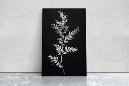 Black and White Floral, Botanical Art, Wildflower Decor, Farmhouse Print, Modern Art, Large Print, Framed Canvas