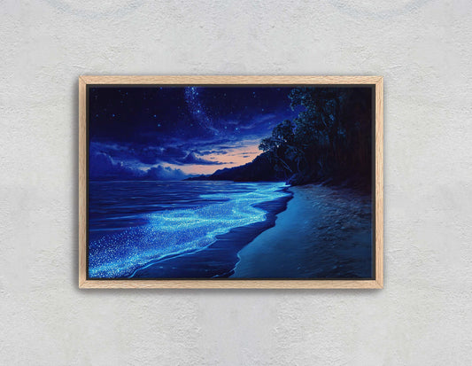 Beach Night Sky, Starry Beach, Bioluminescence, Night Beach