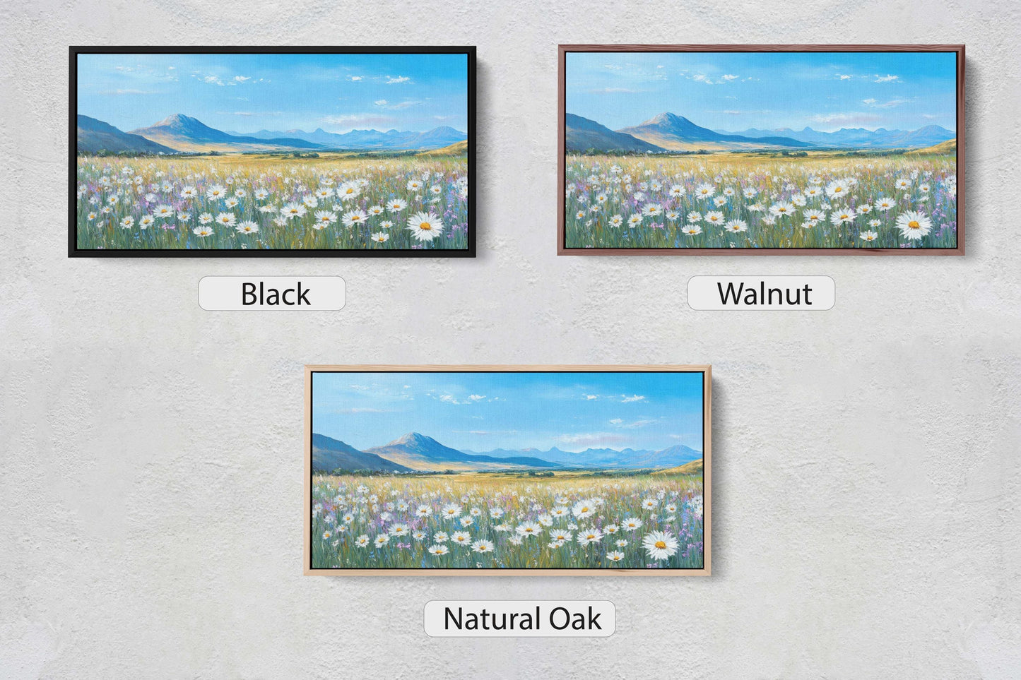 Daisy WIldflowers, Lily Flowers, Mountain Landscape