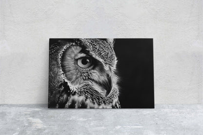 Black and White Owl, Owl Picture, Cabin Decor, Mountain Home Art, Framed Canvas, Owl Painting, Neutral Color, Bird Photo, Owl Photography