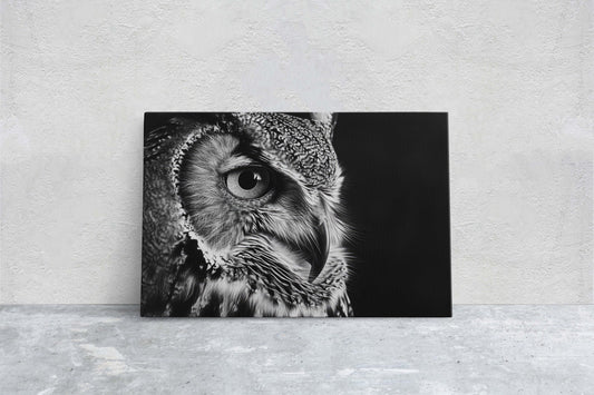 Black and White Owl, Owl Picture, Cabin Decor, Mountain Home Art, Framed Canvas, Owl Painting, Neutral Color, Bird Photo, Owl Photography