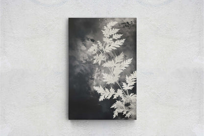 Black and White Floral, Botanical Art, Wildflower Decor, Farmhouse Print, Modern Art, Large Print, Framed Canvas