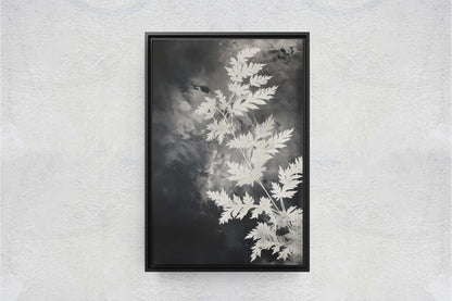 Black and White Floral, Botanical Art, Wildflower Decor, Farmhouse Print, Modern Art, Large Print, Framed Canvas