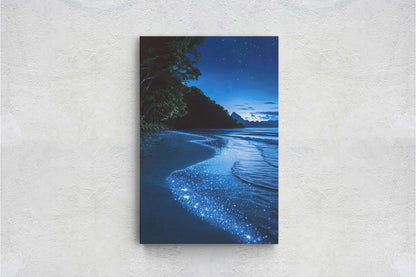 Beach Night Sky, Starry Beach, Bioluminescence, Night Beach