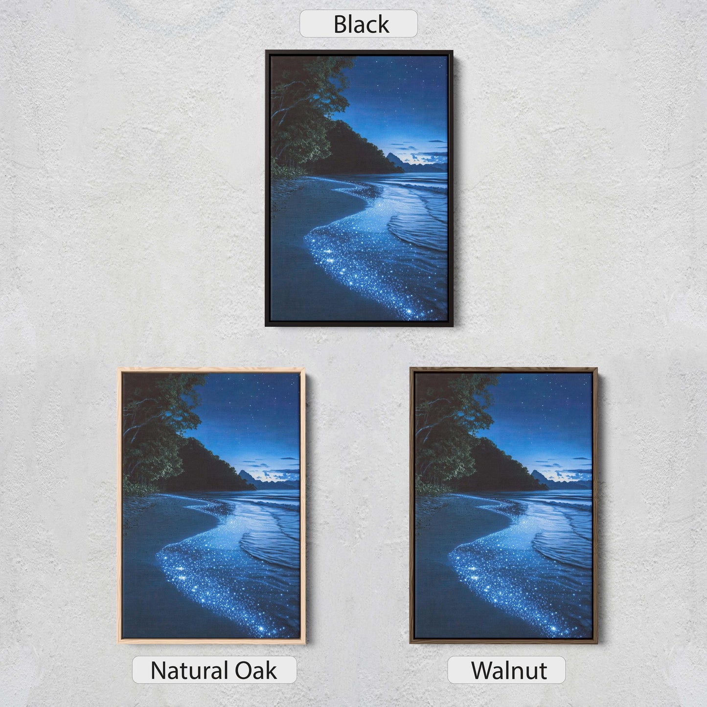 Beach Night Sky, Starry Beach, Bioluminescence, Night Beach
