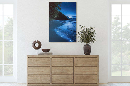 Beach Night Sky, Starry Beach, Bioluminescence, Night Beach