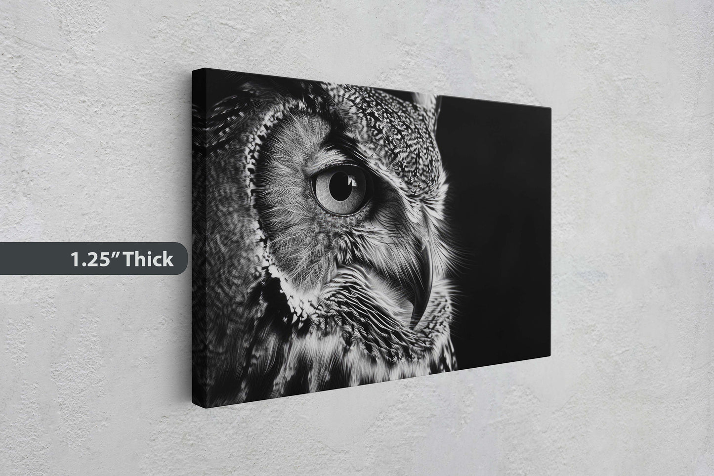Black and White Owl, Owl Picture, Cabin Decor, Mountain Home Art, Framed Canvas, Owl Painting, Neutral Color, Bird Photo, Owl Photography