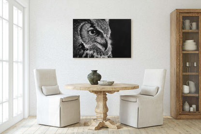 Black and White Owl, Owl Picture, Cabin Decor, Mountain Home Art, Framed Canvas, Owl Painting, Neutral Color, Bird Photo, Owl Photography