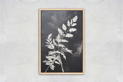 Black and White Floral, Botanical Art, Wildflower Decor, Farmhouse Print, Modern Art, Large Print, Framed Canvas